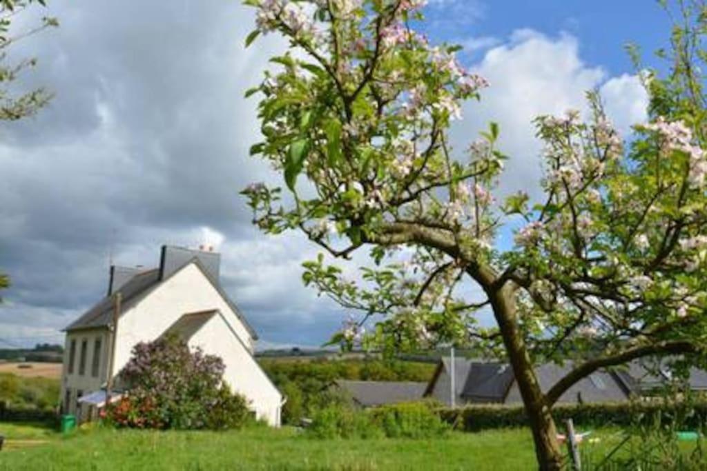 Logement Neuf Aux Portes De La Presqu'Ile Argol Exterior foto
